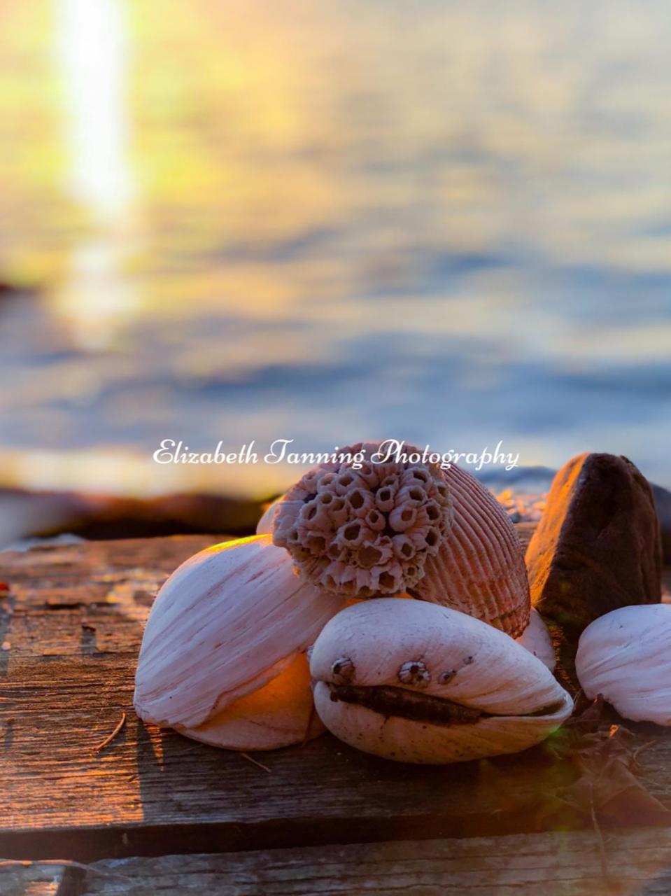 Sea Mist Waterfront B&B Camano ภายนอก รูปภาพ